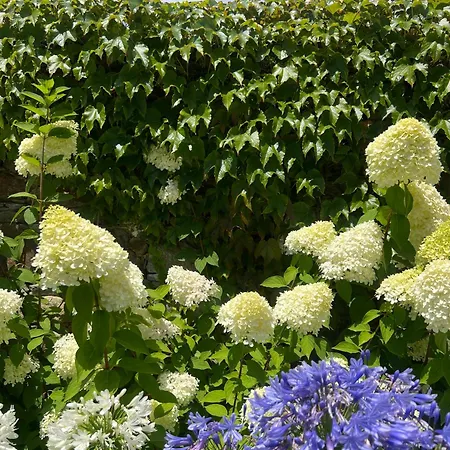 Torre Del Marques Апартаменты